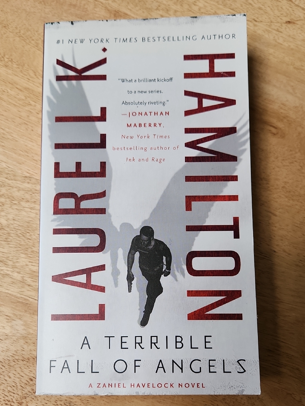 A Terrible Fall of Angels Book
